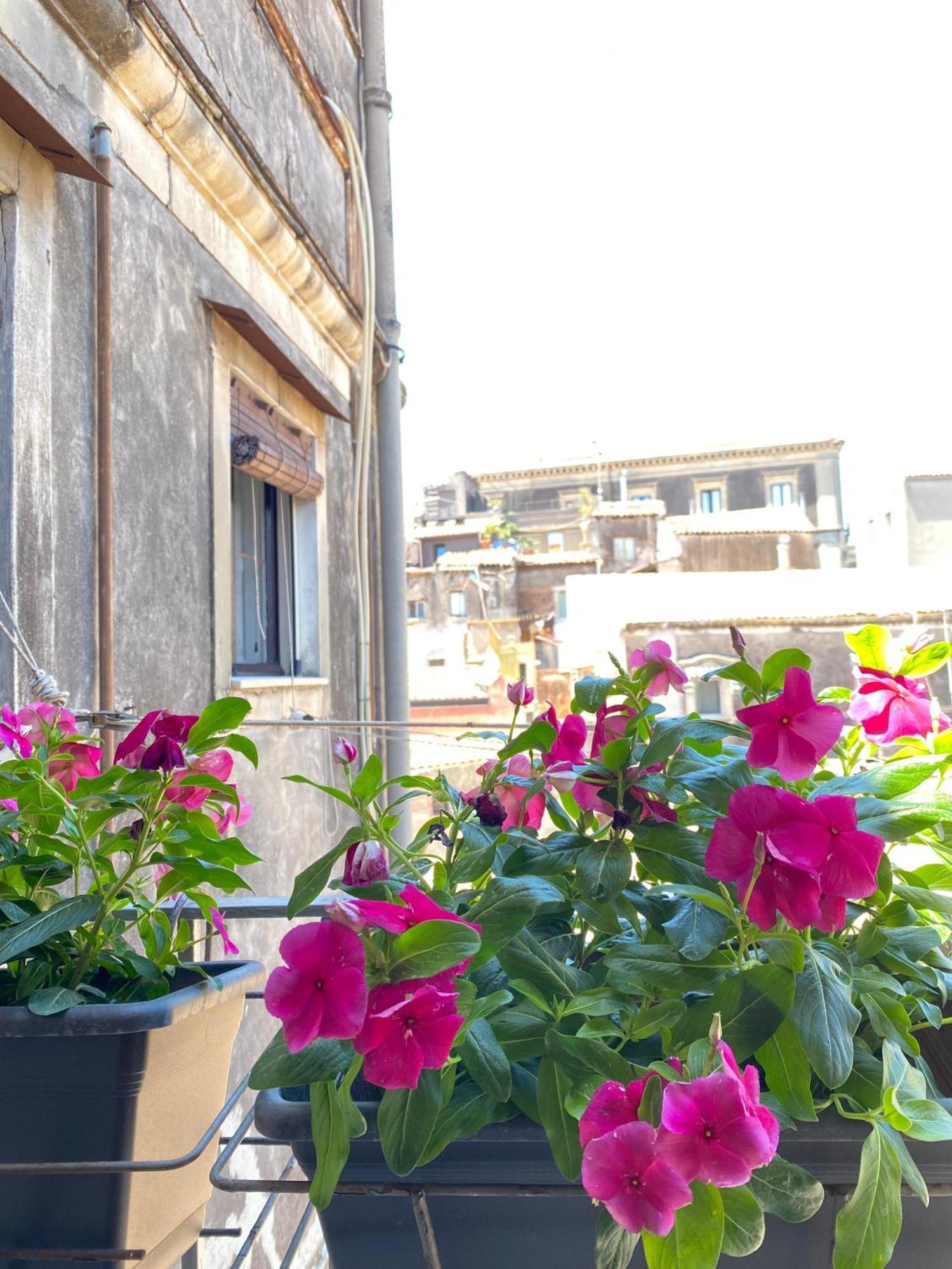 Bed and Breakfast Dimora Dei Minoriti Catania Exterior foto